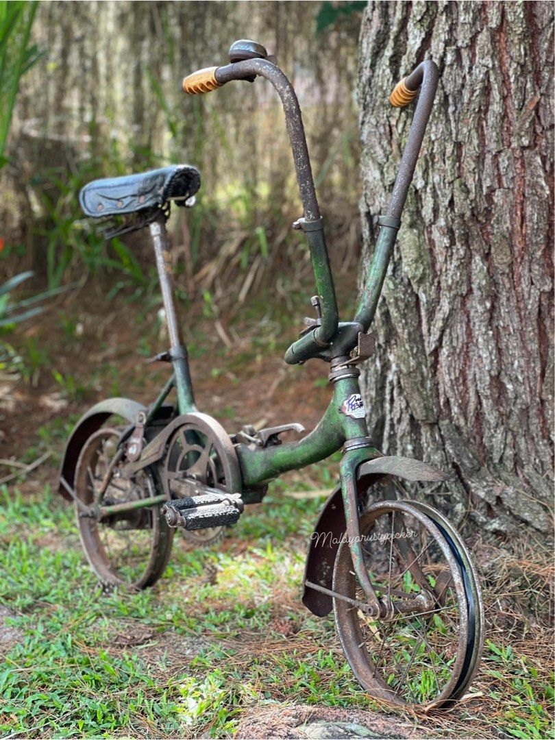 Road puppy 2025 folding bike