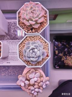 (Category: ) located in . Submitted by yong92113 (Listing ID 1235178857, Image 1). Description: .