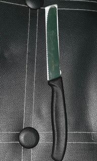 VICTORINOX Swiss Classic Pairing Knife