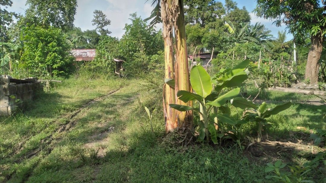 2.8 Hectares lot in San Jose, Tarlac. Along bypass road and Police