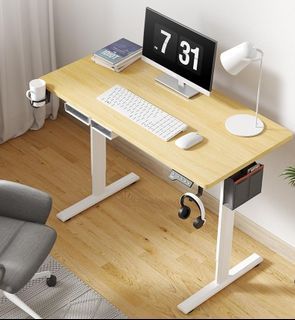 限時優惠 人體工學 台灣 X-Win 記憶電動升降枱 伸縮 升降桌 Smart Adjustable Standing Gaming Dinning Table Desk