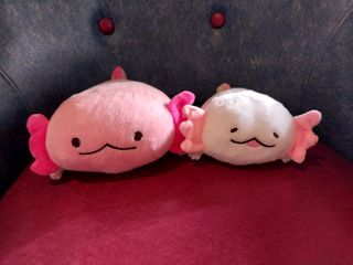 (Category: ) located in . Submitted by laceypuff (Listing ID 1238431783, Image 1). Description: .