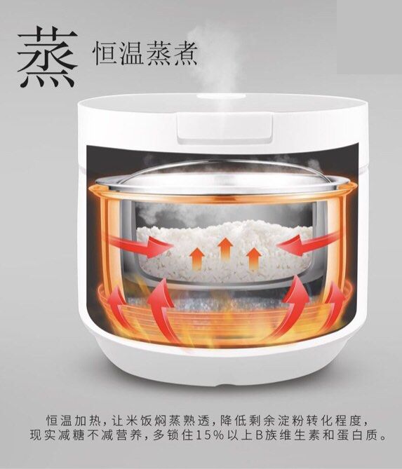 BNIB Buffalo Low Sugar Rice Cooker, TV & Home Appliances, Kitchen Appliances, Cookers on Carousell