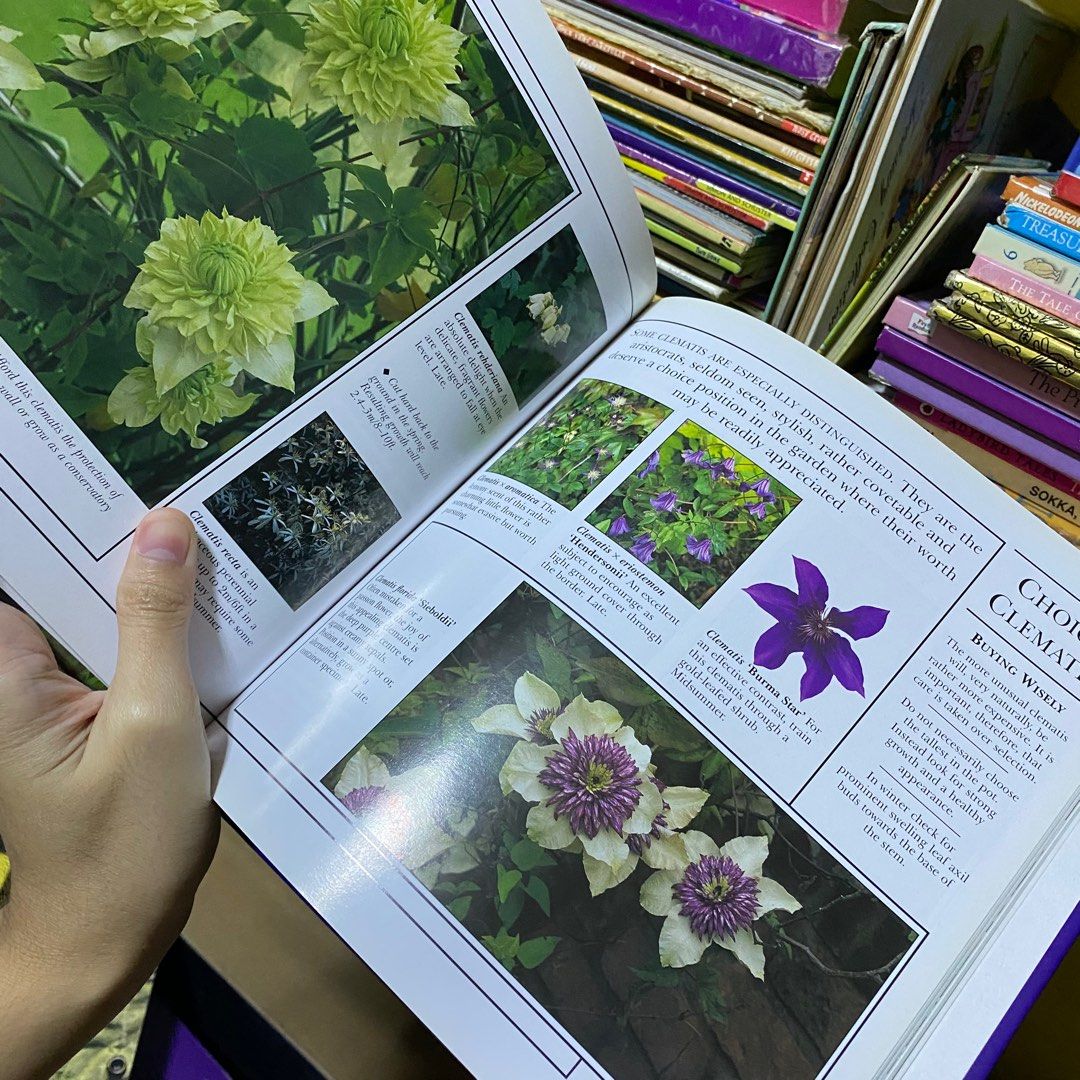Book About Flowers, Hobbies & Toys, Books & Magazines, Fiction & Non ...