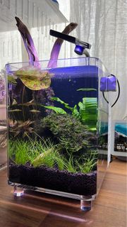 (Category: ) located in . Submitted by ibuytoomuchstuff (Listing ID 1238495068, Image 1). Description: .