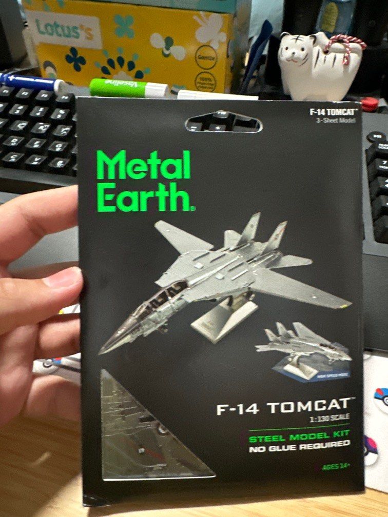 F-14 Tomcat Metal Earth