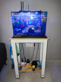 (Category: ) located in . Submitted by muddogs21 (Listing ID 1238580508, Image 1). Description: .