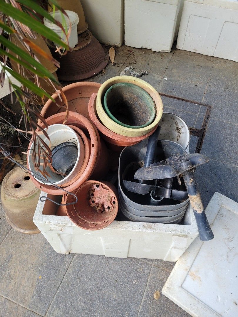 Free pots, Furniture & Home Living, Gardening, Pots & Planters on Carousell
