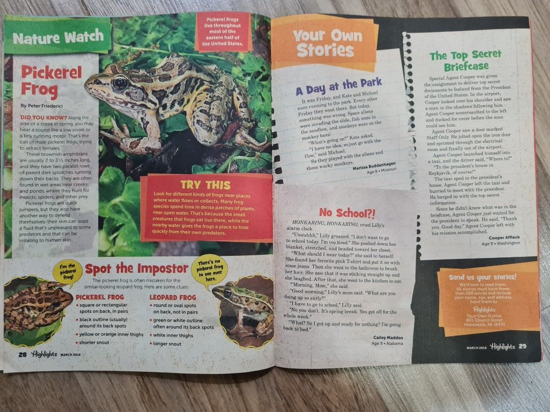 Highlights - magazines for primary school kids, Hobbies & Toys, Books ...