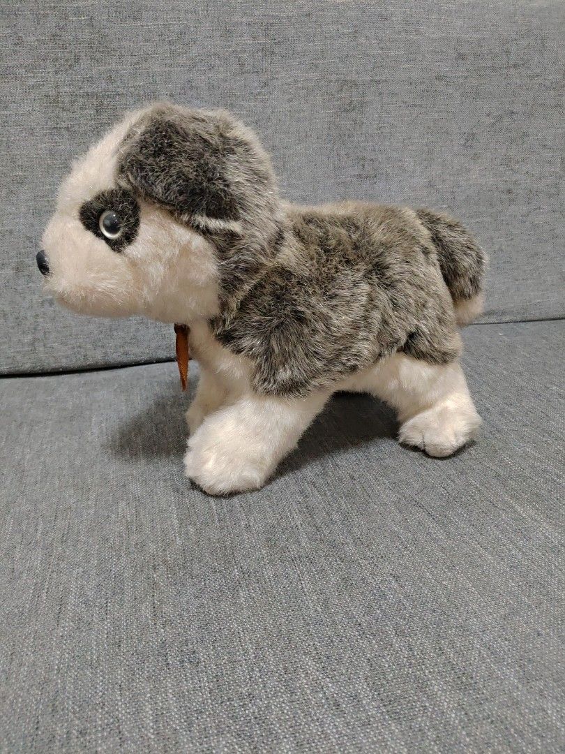 Miyoni Siberian Husky Plushie, Hobbies & Toys, Toys & Games on Carousell