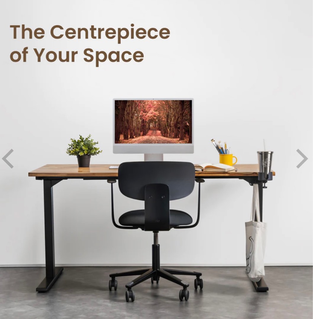 Omni sit 2025 stand desk