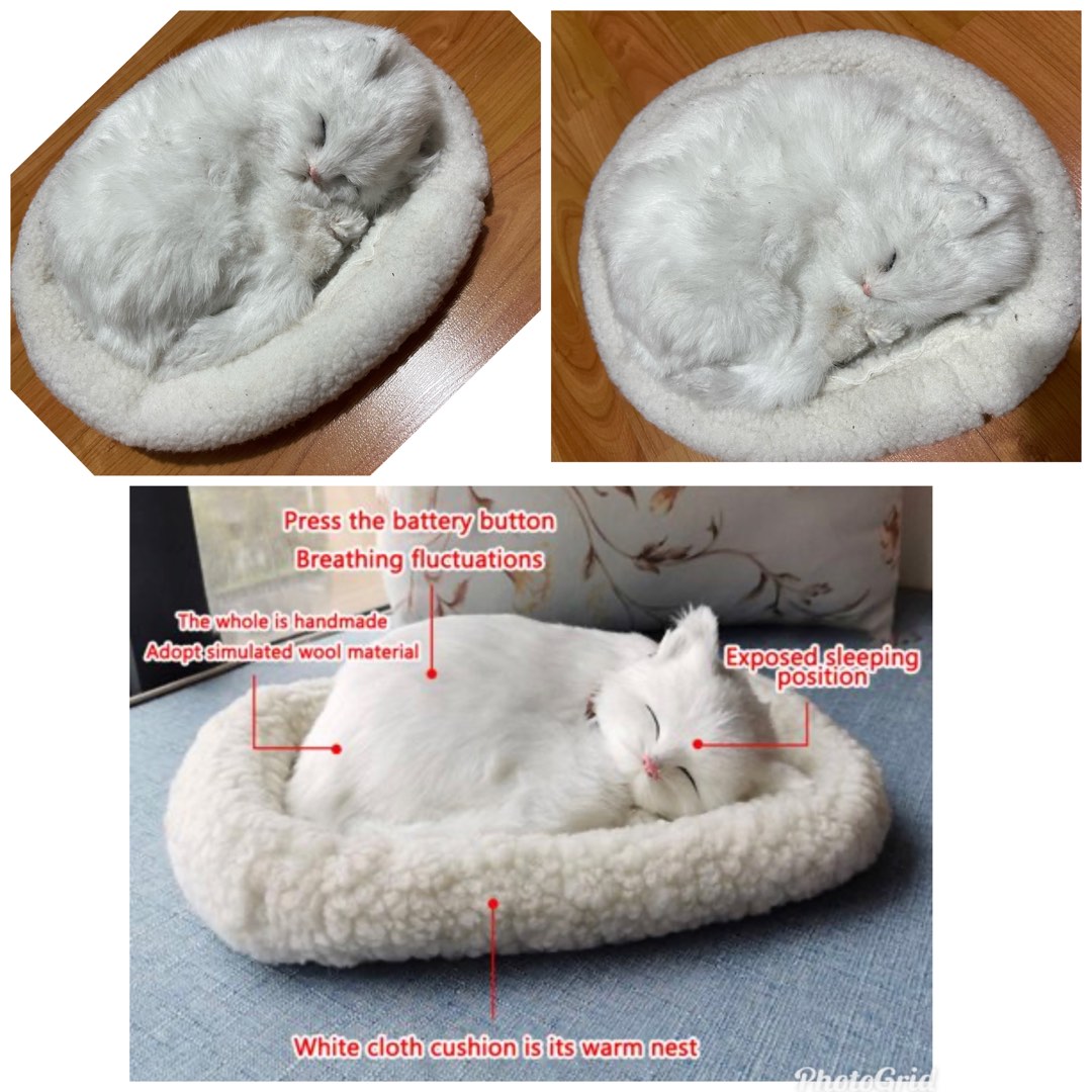 Sleeping cat toy 2025