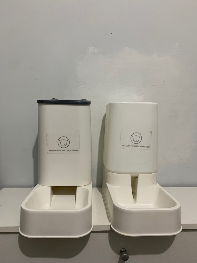 Tempat makan kucing on Carousell