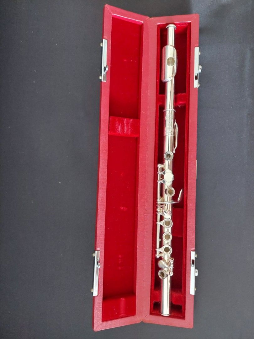 The Fuji Kotekitai Flute/Fife/Piccolo, Hobbies & Toys, Music & Media