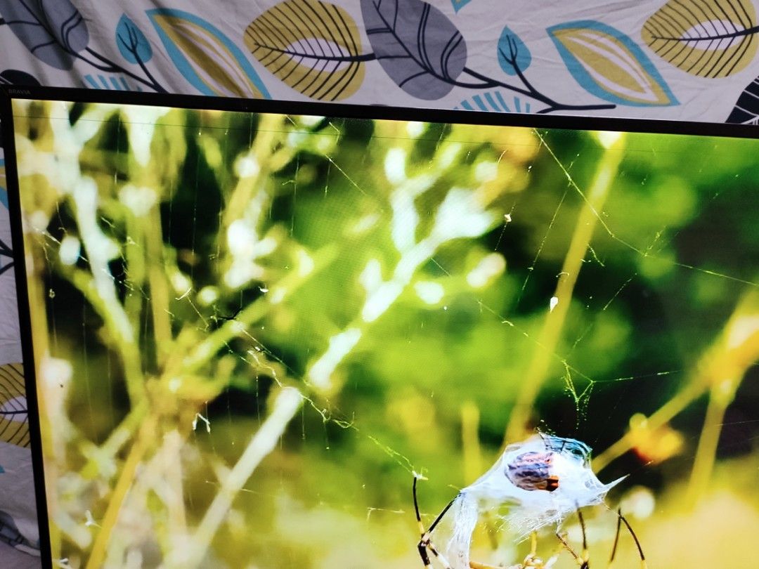 Tv have lines Sony 55 inchi 4k Smart Tv STILL Good Working New