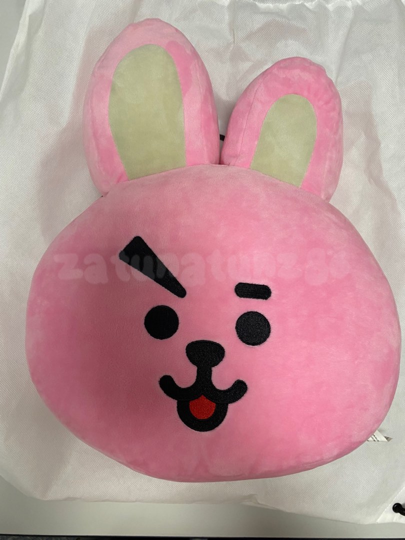 Wts Bts Bt21 Cooky & Tata Pillow, Hobbies & Toys, Collectibles &  Memorabilia, K-Wave On Carousell