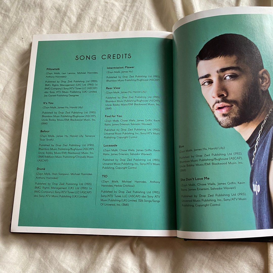 Zayn Malik The Official Autobiography Hobbies And Toys Books And Magazines Assessment Books On 