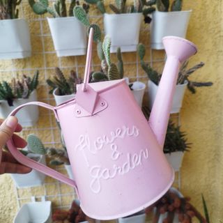 Aesthetic watering can