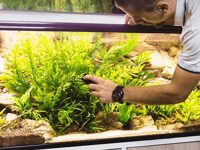 Photo inspiration: Aquarium Maintenance Services Services Home Services Cleaning On Photo Inspiration