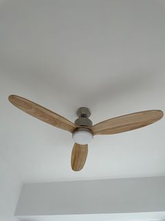 （分類：）位於 。 由 nyekk 提交（商品編號 1238746614，圖片 1）。簡介： 。