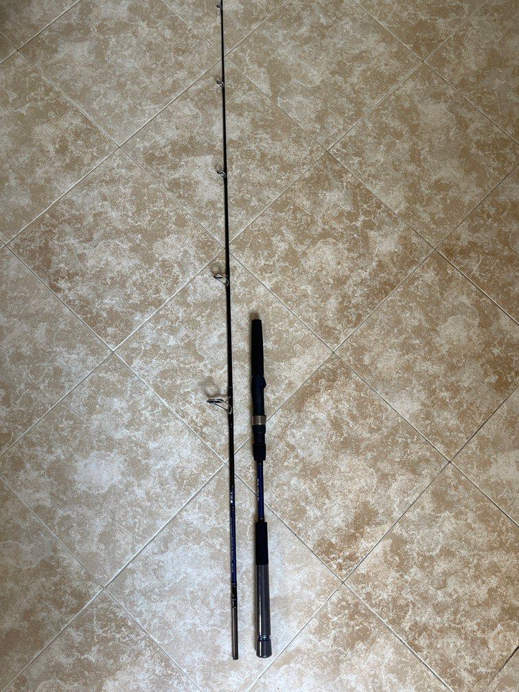 Daiwa Phantom Versatile Spinning Rod, 8Ft
