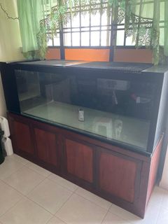 (Category: ) located in . Submitted by fxd721 (Listing ID 1238636881, Image 1). Description: .