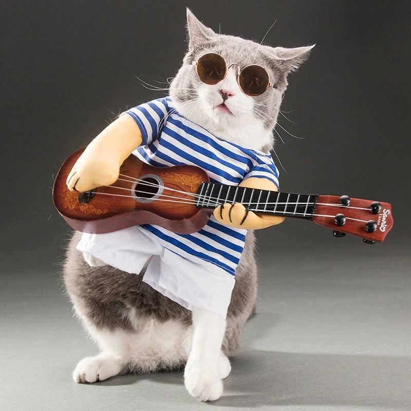 Funny cat outfits shop