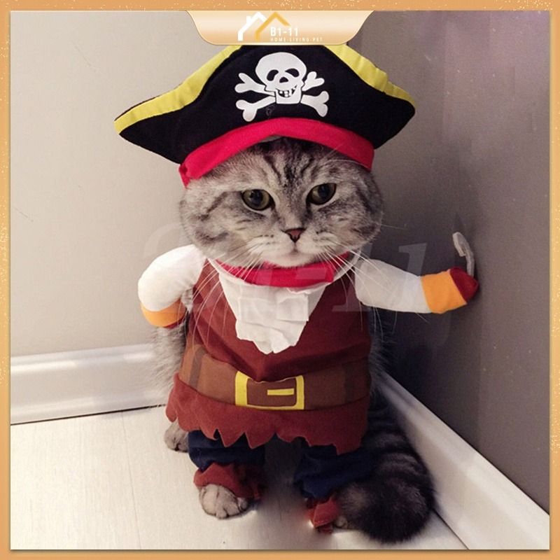 Funny Cat Clothing Pets Cute costumes Halloween Costume Kitty Kitten Puppy Suits Dressing Up Party Clothes AG0399 Pet Supplies Homes Other Pet Accessories on Carousell