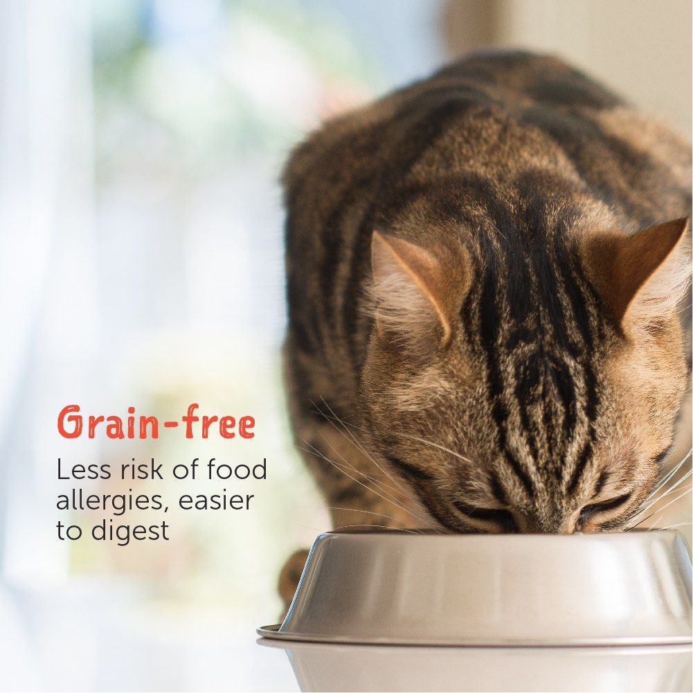 Loveabowl Tuna in Broth Wet Cat Food 70g Meal Topper Carton