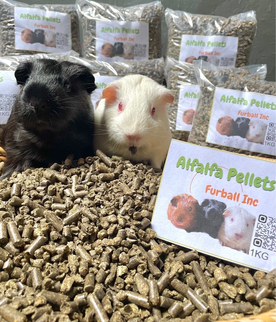 Guinea pig alfalfa pellets online