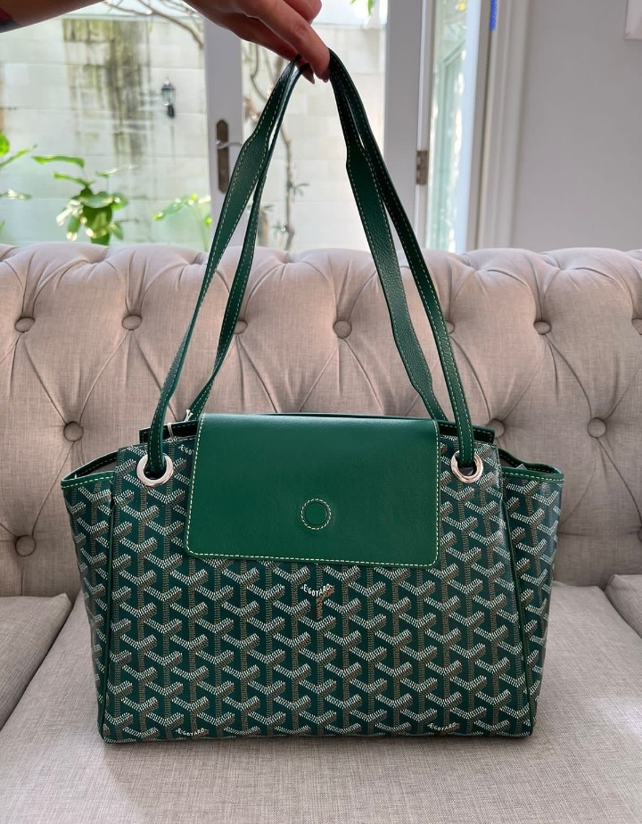 New Goyard Rouette PM Bag, 名牌, 手袋及銀包- Carousell