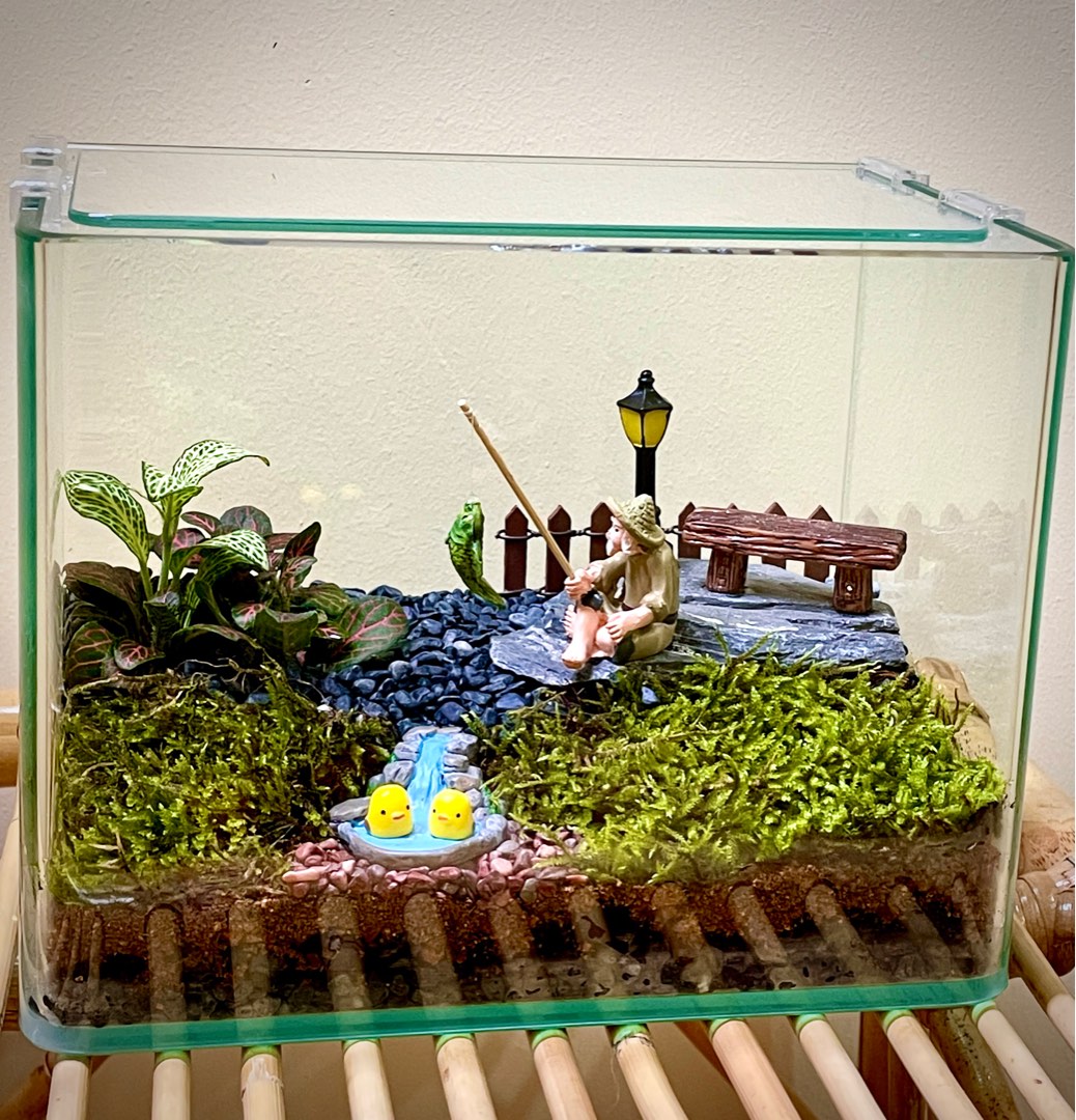 Terrarium, Furniture & Home Living, Gardening, Plants & Seeds on Carousell