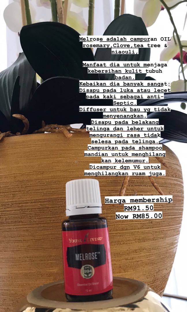 Melrose young living deals