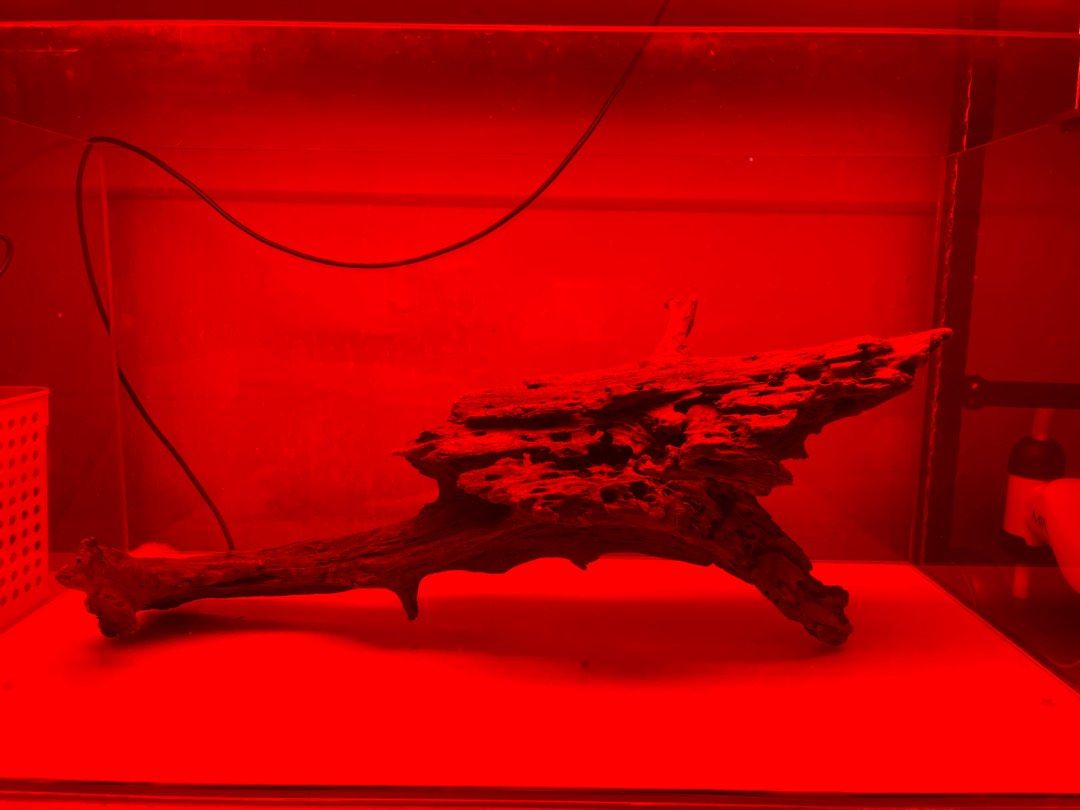 3ft Aquarium Driftwood Clearance, Pet Supplies, Homes & Other Pet