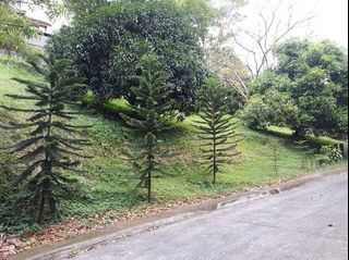 474sqm For SALE LOT over Looking Taal @ Canyon Woods Laurel Batangas