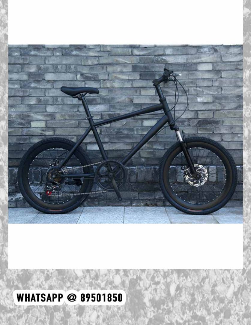 Velo adult new arrivals