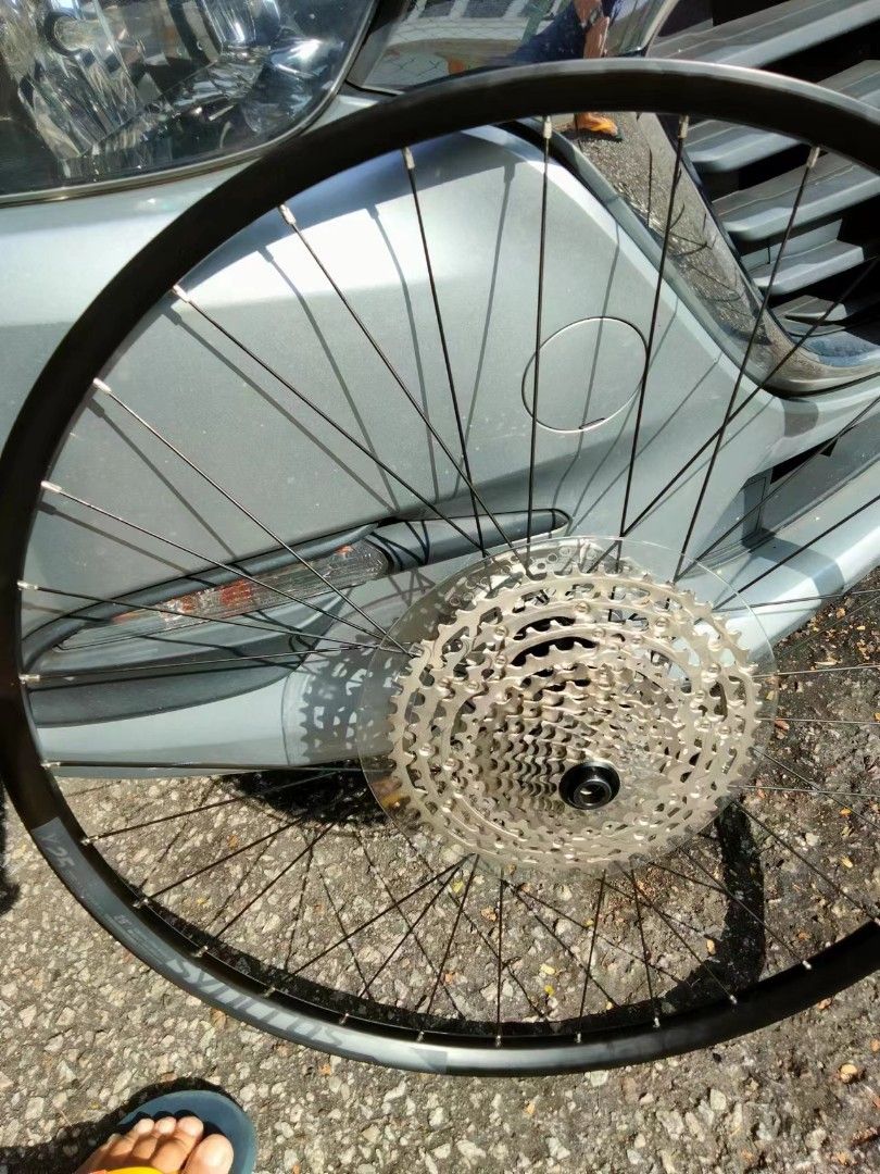 Bicycle back hotsell wheel sprocket
