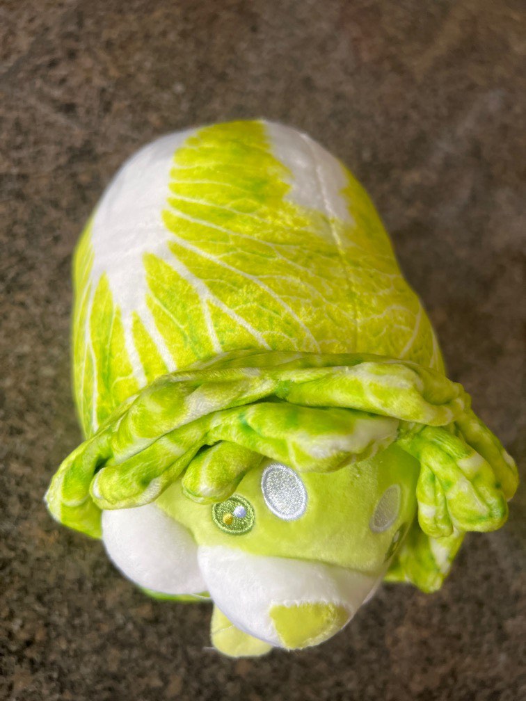 Cabbage dog toy, Hobbies & Toys, Toys & Games on Carousell