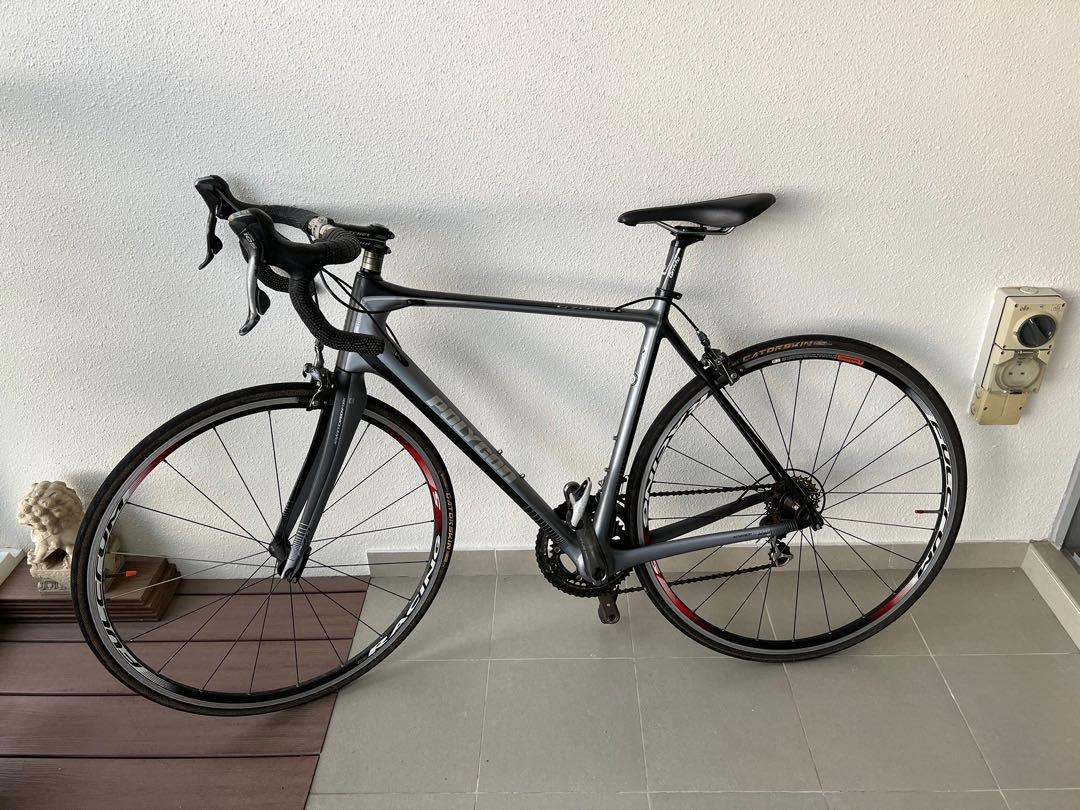 Polygon helios carbon store