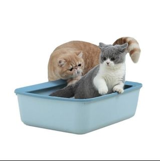(Category: ) located in . Submitted by catwarehouse (Listing ID 1238897527, Image 1). Description: .