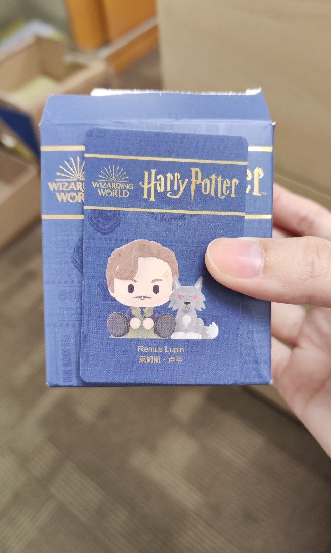 Harry Potter Blind Box (Remus Lupin figurine), Hobbies & Toys