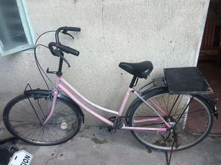 (Category: ) located in . Submitted by ftblrph (Listing ID 1238874766, Image 1). Description: .
