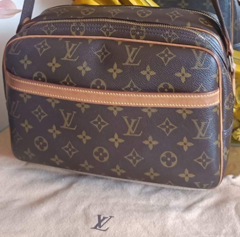 Louis Vuitton (LV) Mini Pochette Delightful bag (cute) (rare) (unique),  Luxury, Bags & Wallets on Carousell