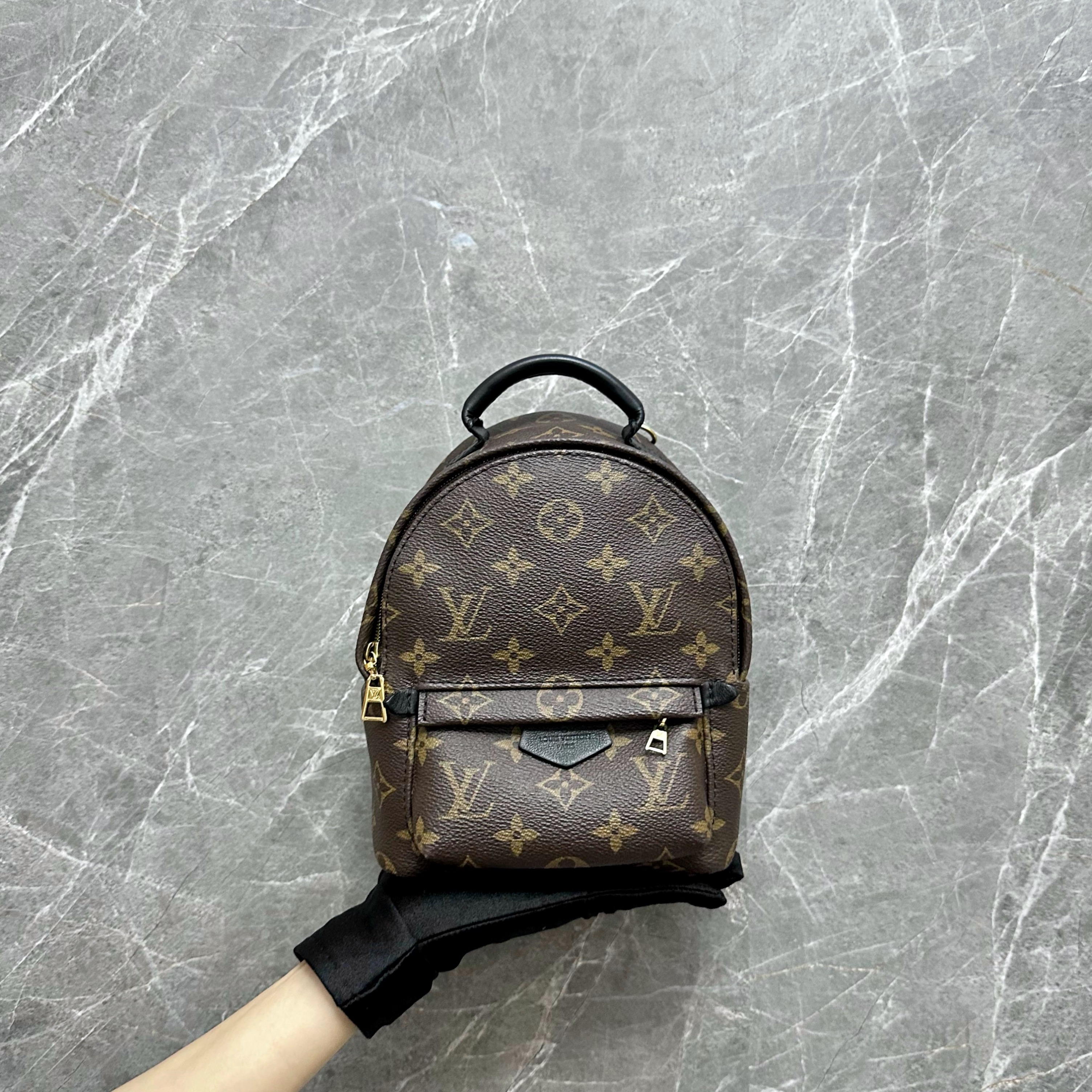 Louis Vuitton Mini Palm Spring Backpack, Luxury, Bags & Wallets on Carousell