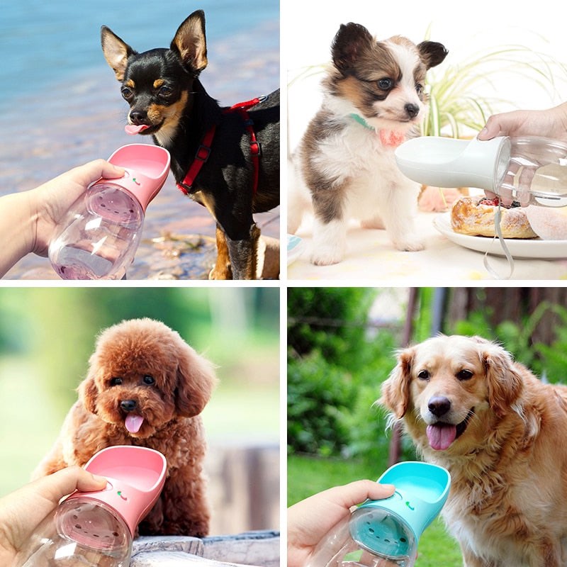 Pb dog water sales bottle