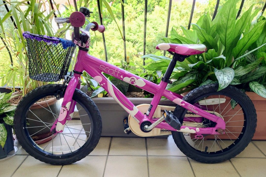 Scott contessa 16 cheap