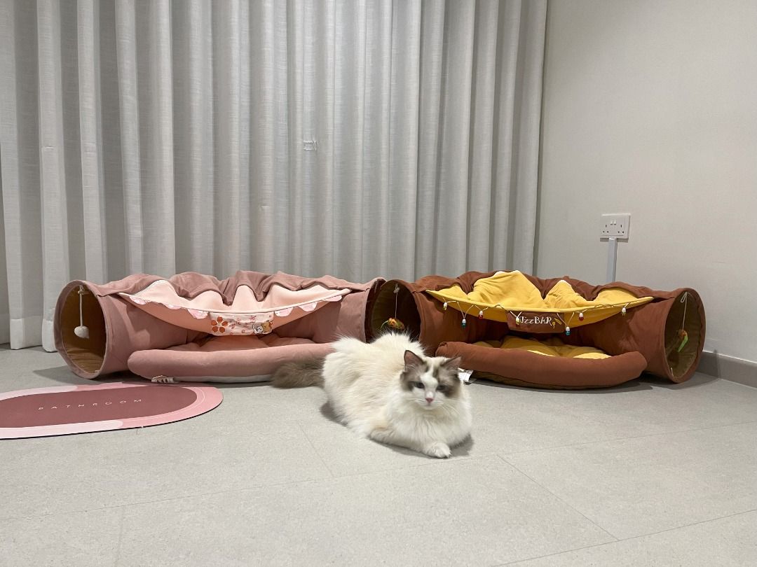 Cat bed with online roof