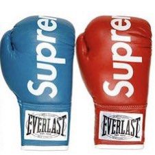08AW Supreme Everlast Boxing Gloves 拳套收藏, 名牌, 飾物及配件 ...