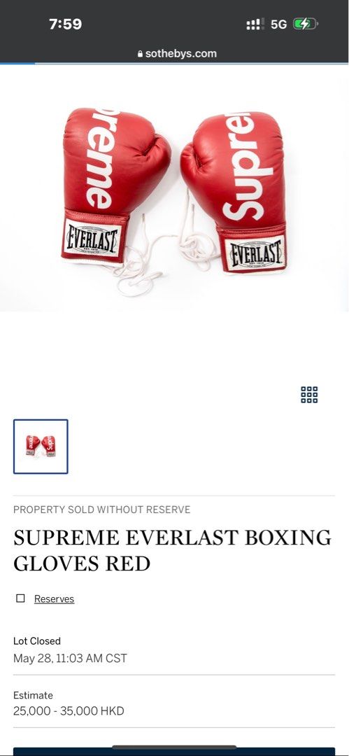 08AW Supreme EVERLAST Boxing Gloves ブランド品専門の - ボクシング