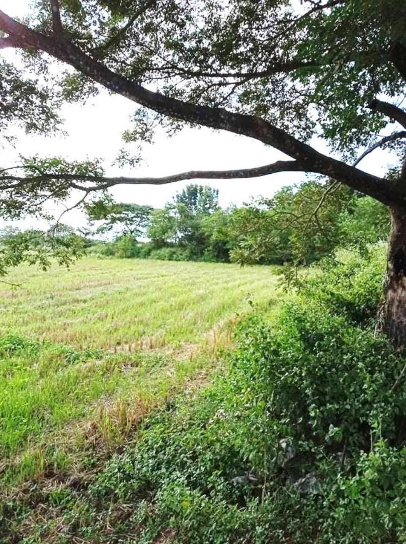 FOR SALE 1 Hectare Agricultural Land in San Rafael, Bulacan, Property